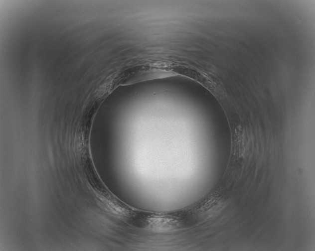 X0000052950614200507151711
