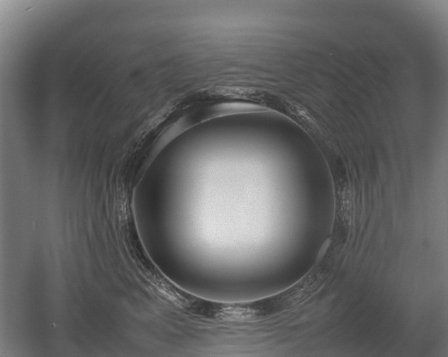 X0000052950617200507151711