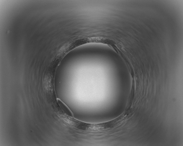 X0000052950619200507151711