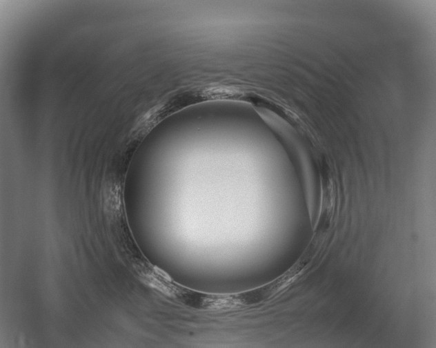 X0000052950621200507151711
