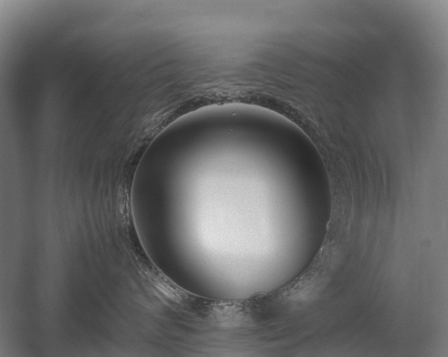 X0000052950624200507151711