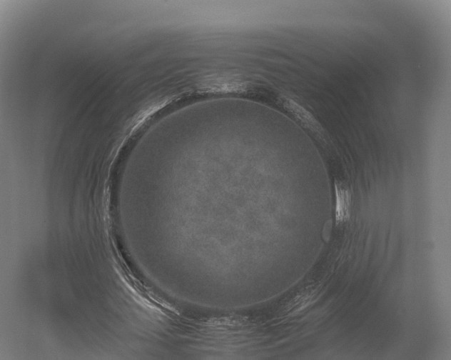 X0000052950627200507151710