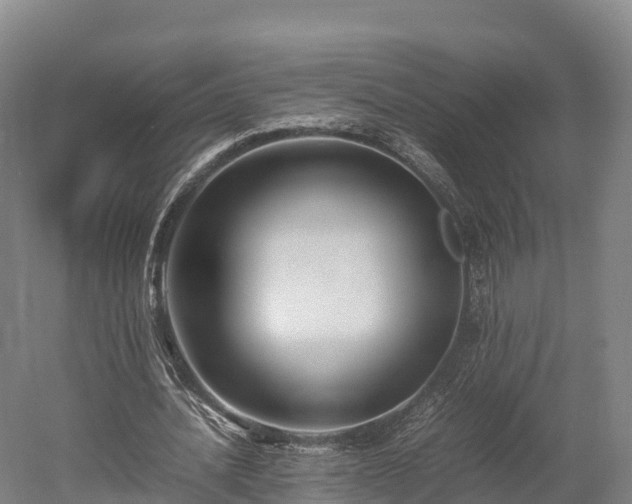 X0000052950628200507151710