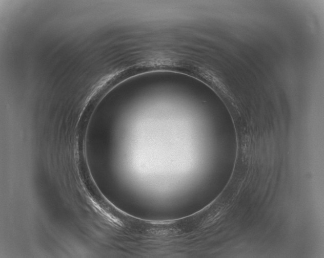 X0000052950629200507151710