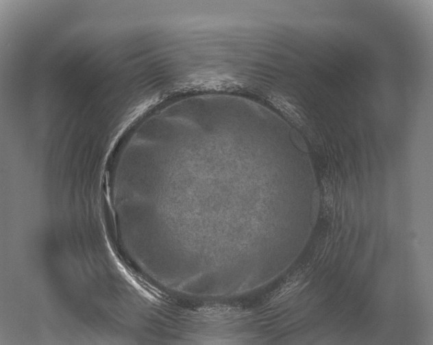 X0000052950630200507151710