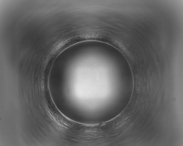 X0000052950631200507151710