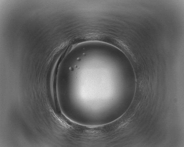 X0000052950633200507151710