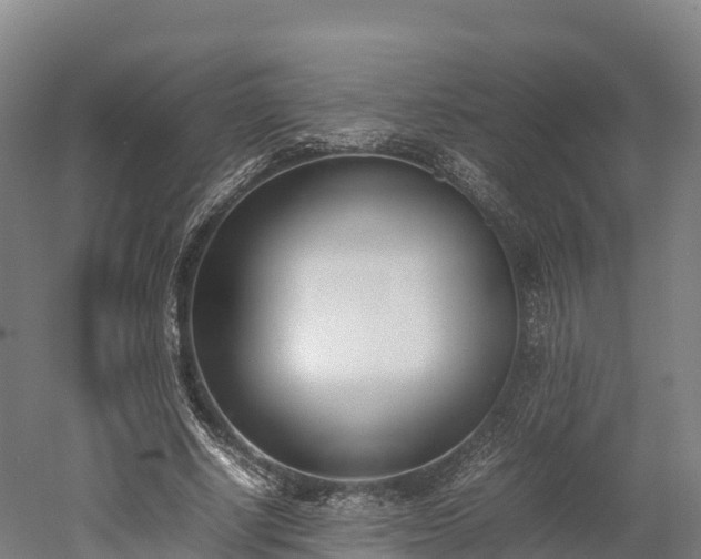 X0000052950634200507151710