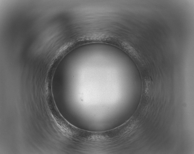 X0000052950636200507151710
