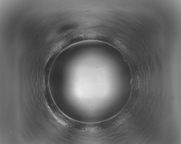X0000052950638200507151710