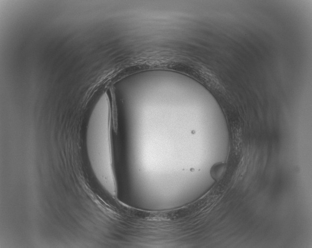 X0000052950644200507151710