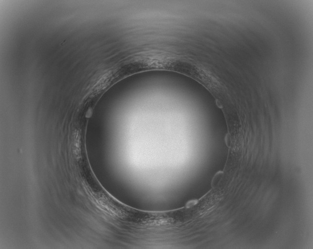 X0000052950646200507151710