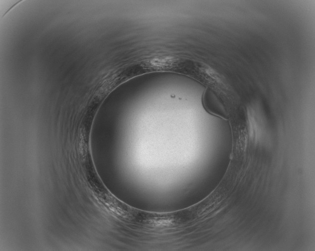 X0000052950651200507151710