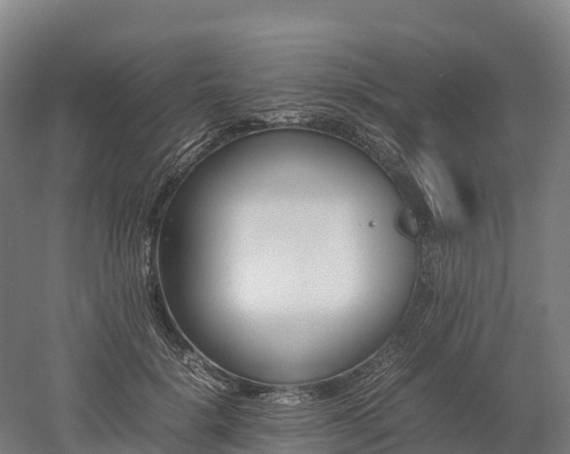 X0000052950652200507151710