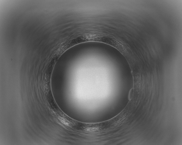 X0000052950653200507151710