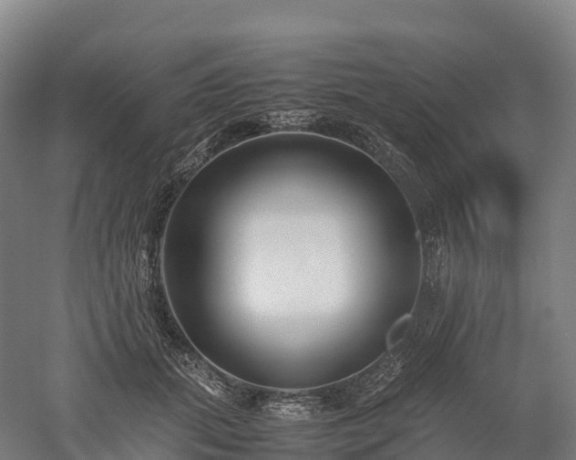 X0000052950655200507151710