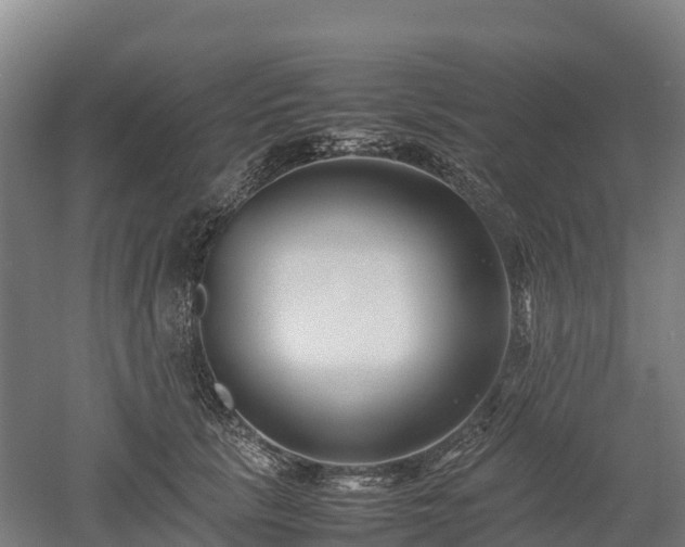 X0000052950657200507151710