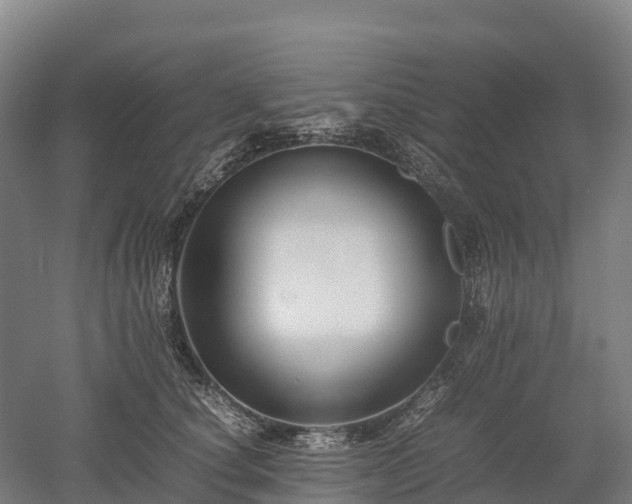 X0000052950660200507151710