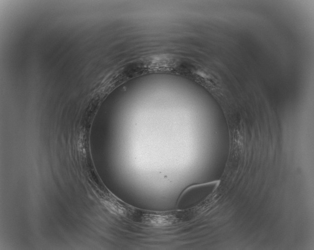 X0000052950663200507151711