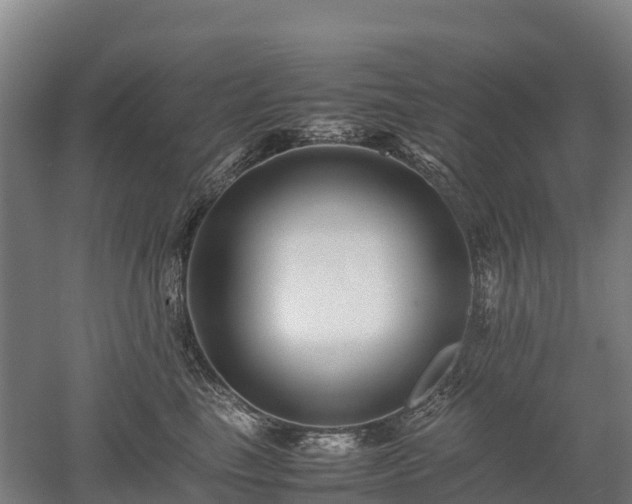 X0000052950665200507151711