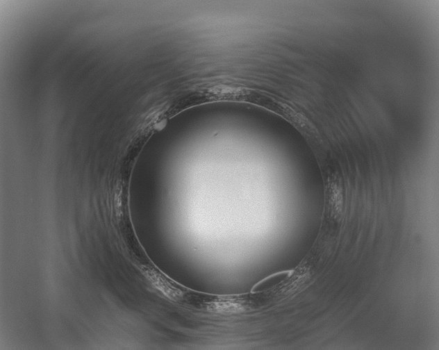 X0000052950668200507151711