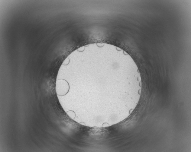 X0000052950672200507151711