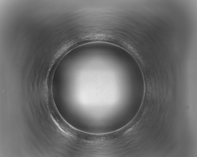 X0000052950674200507151710