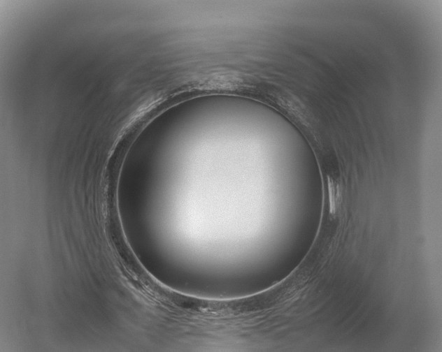 X0000052950675200507151710