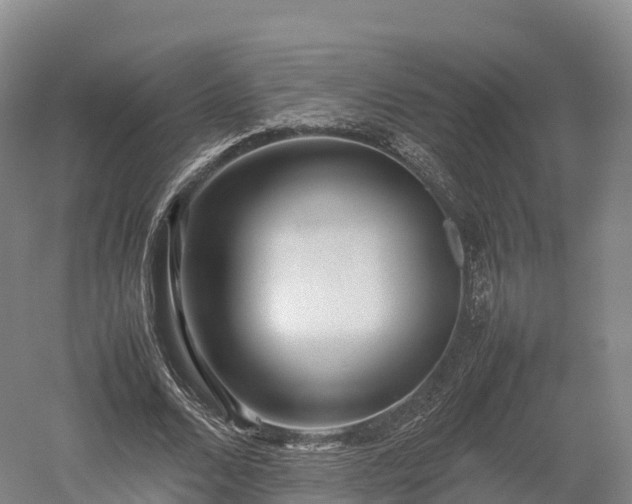 X0000052950680200507151710