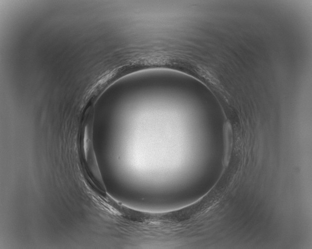 X0000052950681200507151710