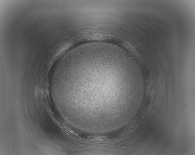 X0000052950683200507151710