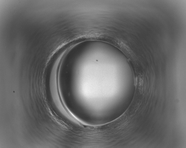 X0000052950684200507151710