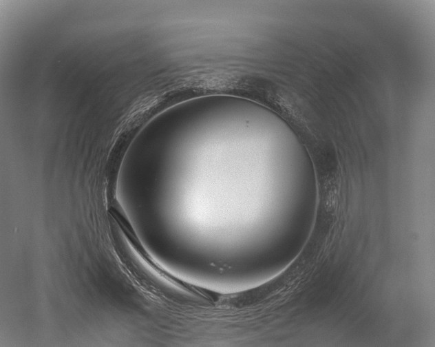 X0000052950685200507151710