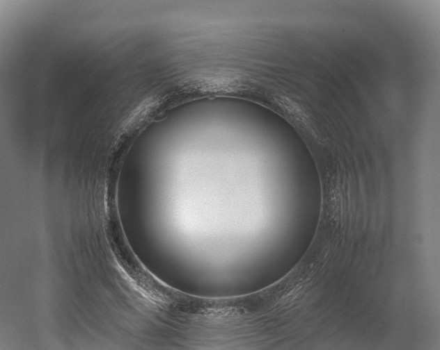 X0000052950686200507151710