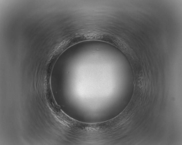 X0000052950690200507151710