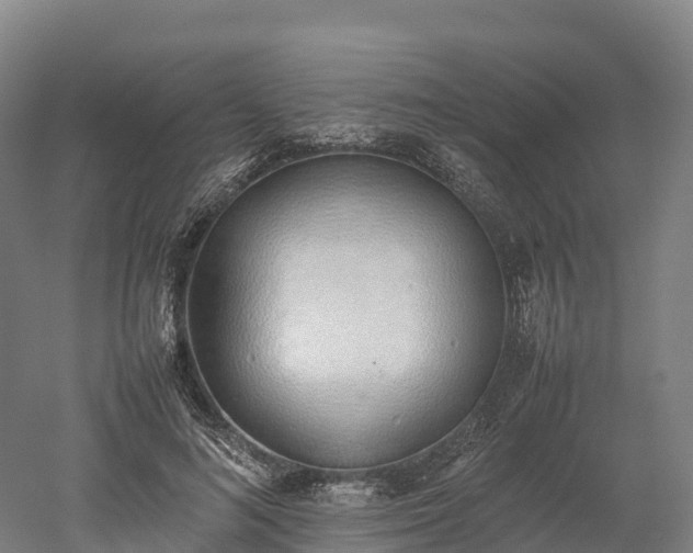 X0000052950692200507151710