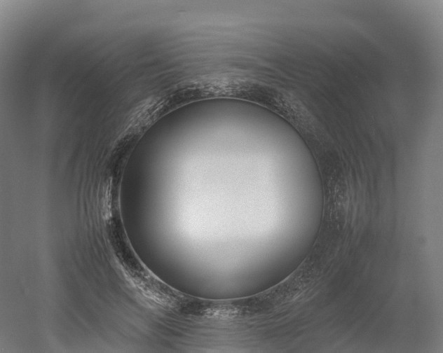 X0000052950694200507151710