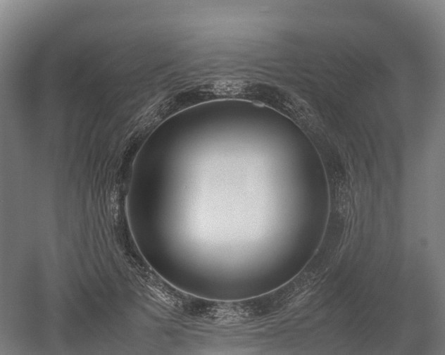 X0000052950697200507151709