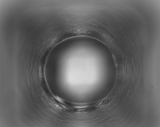 X0000052950700200507151709