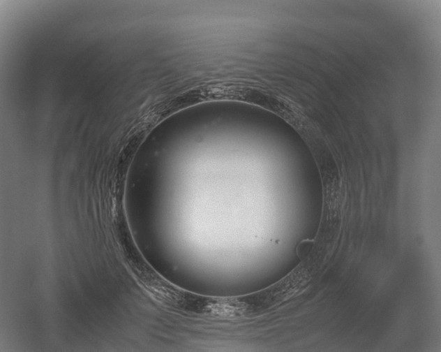 X0000052950703200507151709