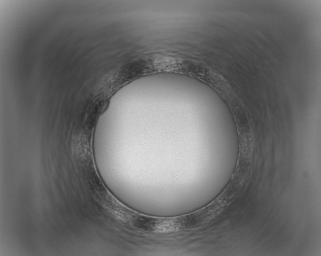 X0000052950705200507151709