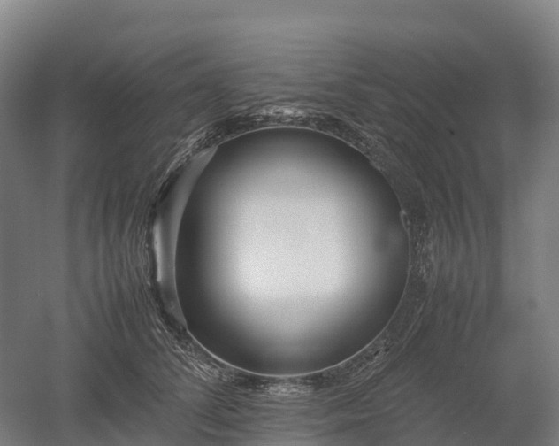 X0000052950708200507151709