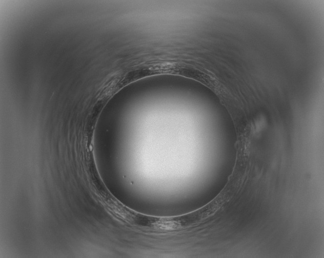 X0000052950711200507151709