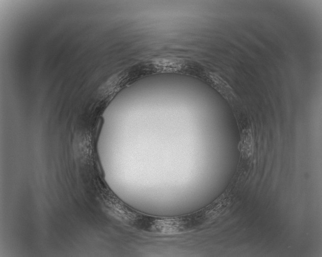 X0000052950713200507151709