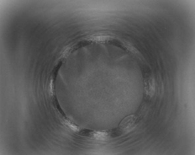X0000052950718200507151709
