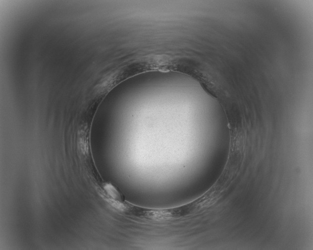 X0000052950719200507151709