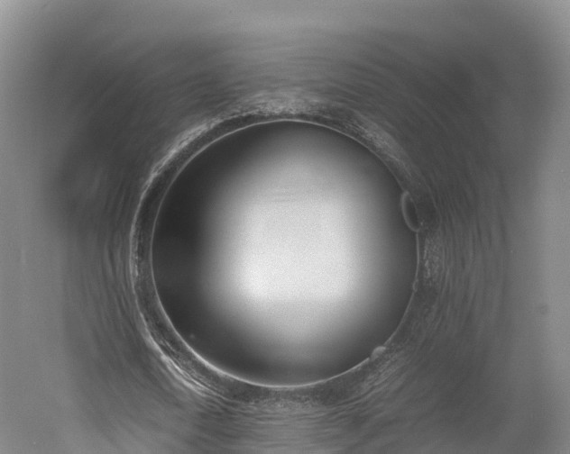 X0000052950722200507151708