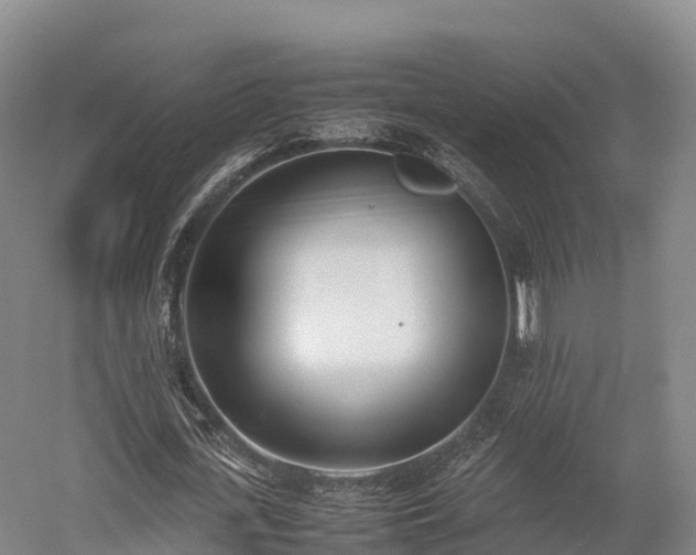 X0000052950723200507151708