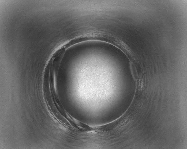 X0000052950724200507151708