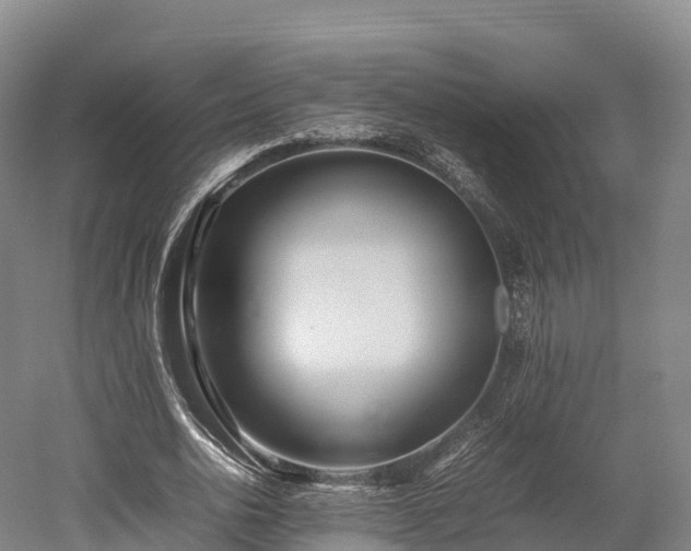 X0000052950726200507151708